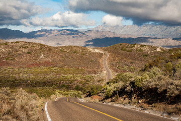 Highway to Sierra de San Pedro Martir national park, Baja Calilfornia, Mexico