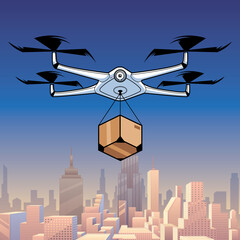 Drone Delivery In City