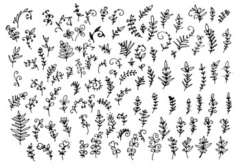 vector set of isolated elements of twigs with leaves drawn by hand in the doodle style. plant texture twigs with leaves dots swirls black outline on a white background for a design template