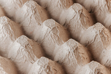 Empty cardboard container for eggs close up.