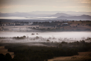 Hunter Valley Fog at Sunrise in Australia