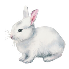 Obraz premium Watercolor cute white bunny Illustration on white background.