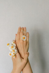 Woman's hand with a camomile isolated on the grey background. Care for skin hands.