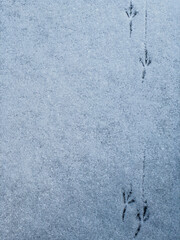 footprints in snow texture