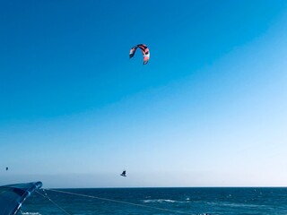 mar, paracaídas, playa, cielo, deporte, parapente, acuático, cometa, oceáno, apresurado, parapente, azul, diversión, verano, extremidad, bragueta, descargar, oleaje, deporte, surf, viajando, parasaili