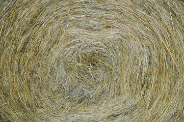 Golden bale of hay full frame background
