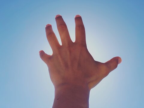 mano, cielo, mano, dedo, humana, la palma, dedo, brazo, aislada, azul, adem&aacute;n, firmar, pulgar, blanco, mujer, gente, abierto, arriba, piel, carroceria, alcance, 5, concepto, alzado