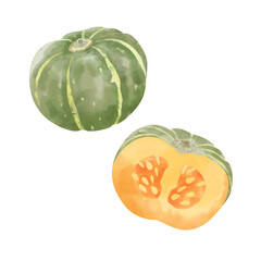 カボチャの水彩イラスト