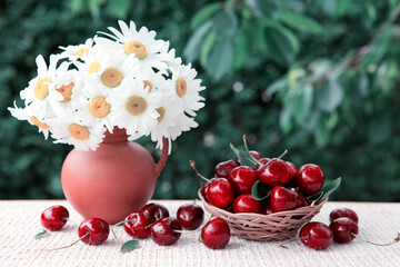 Large red cherries in a basket and daisies in a jug isolated on green.