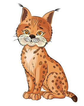 Bobcat on white background.Isolated of lynx.Cute cartoon character.Vector illustration