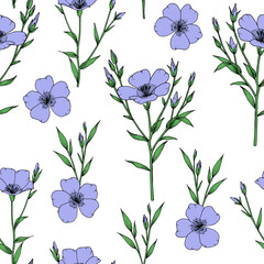 Flax plant with blue flower, bunch, bud and leaf. Seamless pattern. Botanical sketch. Vector hand drawn outline illustration isolated on white background.