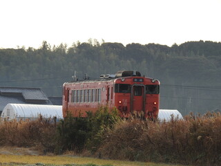 電車
