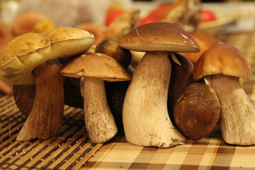 Mushrooms found in August in a birch forest. Hike. Ecological natural food
