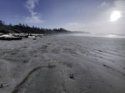 Beach In The Sun, Tofino, Bc