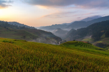 Terraced rice paddy field landscape of Mu Cang Chai, Yenbai, Northern Vietnam