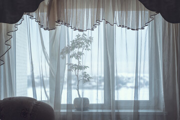 View from room to large window with transparent white curtain and house plant on windowsill