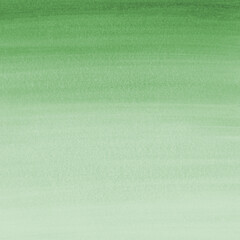 Green ink and watercolor texture on white paper background. Gradient paint strokes and decalcomania effect. Hand-painted gouache abstract image. Mess on the canvas.