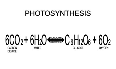 Photosynthesis Chemical Equation