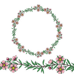 Fototapeta premium Manuka Honey branch, leaves and flower. Seamless garland. Floral wreath. Hand drawn Vector illustration.