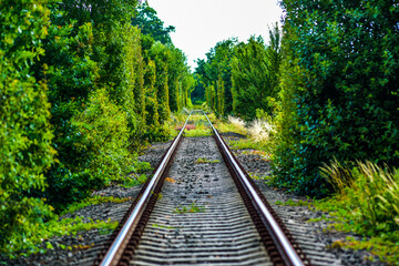 Obraz premium Railroad tracks running in a green tunnel.