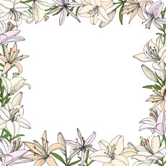 Fototapeta premium Frame with Lily flower, bud and leaf. Hand drawn illustration. Vector image in sketch style.