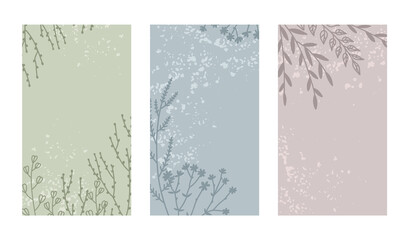 Set of templates with plant elements. Graphic leaves, branches, herbs. Create textures for social networks. Vector illustration.