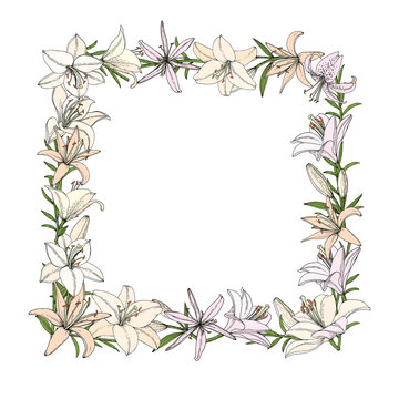 Frame with Lily flower, bud and leaf. Hand drawn illustration. Vector image in sketch style.