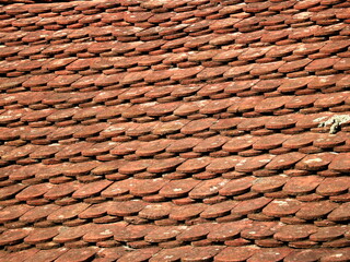 Old tile on the roof