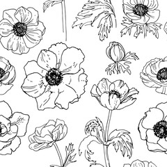 Pattern Flowers vector line drawing. Anemone drawn by a black line on a white background.