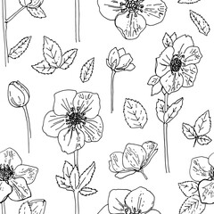 Pattern Flowers vector line drawing. Hellebore drawn by a black line on a white background.