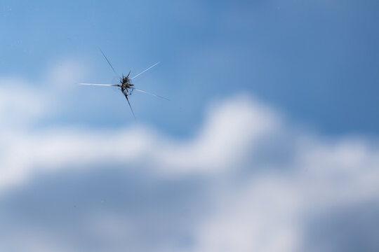 Broken windshield of a car. A web of radial splits, cracks on the triplex windshield. Broken car windshield.