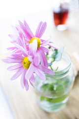 Purple daisies in a glass pot. Flower photography