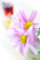 Purple daisies in a glass pot. Flower photography
