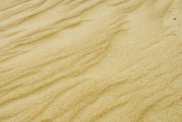 Le dune di Nida, Lituania