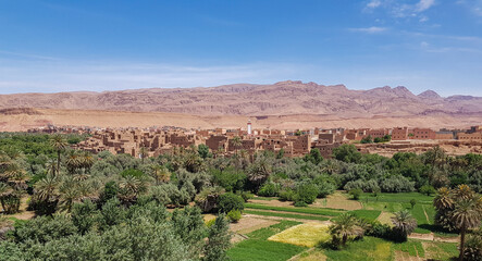 Fototapeta na wymiar Landscape view of Tinghir city in the oasis, Morocco
