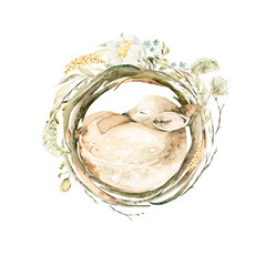 Watercolor nursery composition. Hand painted sleeping forest deer with branches, leaves, wildflowers.Woodland. Illustration isolated on white background. Baby illustration for design, print