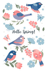 Set of cute spring birds isolated on white background. Vector graphics.
