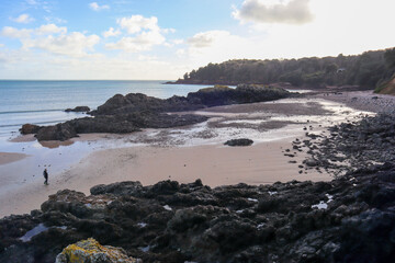 beach and rocks