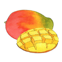 Watercolor views of mango