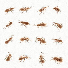 Set with sixteen differentsl forms ants pictures.  Coffee hand drawn on watercolor paper