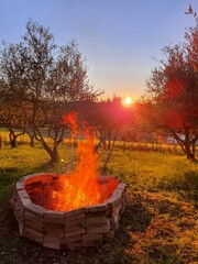 Flame burning in a fire 