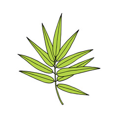 Bamboo stalk and leaves. Ink sketch. Vector hand drawn illustration.