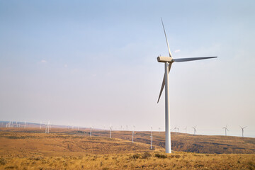 Windfarm Turbines. Wind turbines on an arid field of grass in Washington State.

