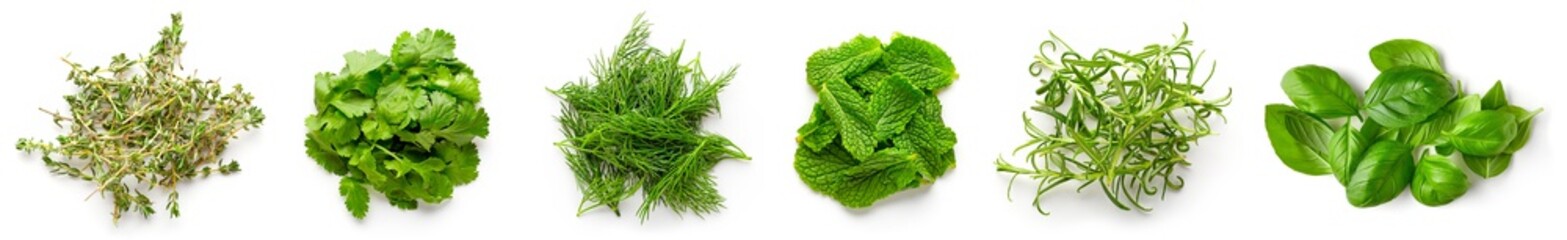 Various herbs isolated on white, from above © bigacis