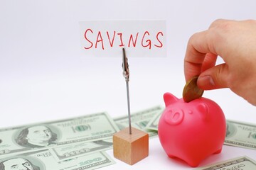 貯金箱、100アメリカドル紙幣、SAVINGSの文字