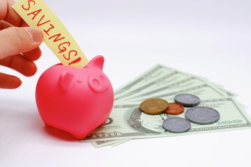 貯金箱、100アメリカドル紙幣、SAVINGSの文字