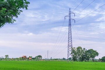 High-voltage poles set through the fields.