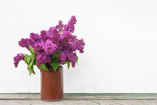 Beautiful purple bunch of lilacs in vintage milk can on white paint wooden background. Space for text