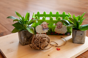 gardening vegetable garden people land planting plants