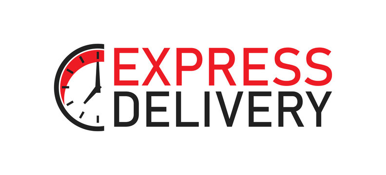 Express delivery logo with clock stopwatch icon. Vector flat isolated